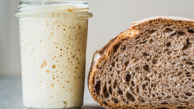 Sourdough starter and rye bread