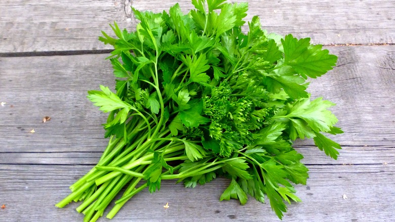 flat-leaf parsley on wooden table