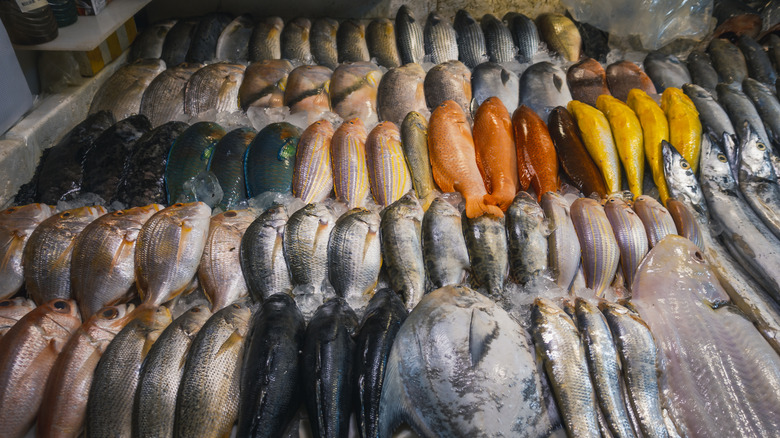 Various fish on display ice