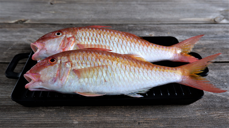 Red mullet on black platter on wooden table