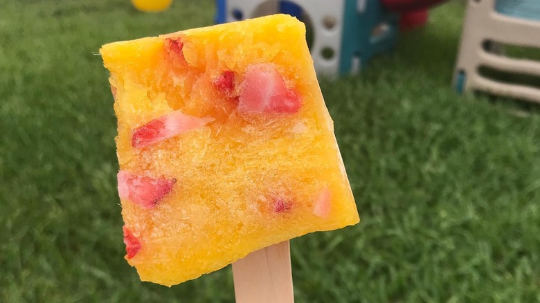 Person holding a loaf pan popsicle