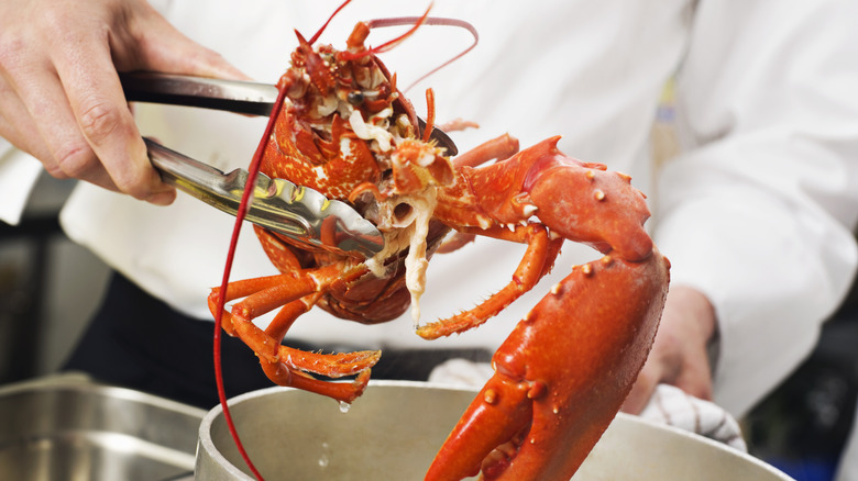 Chef pulling cooked lobster from pot.