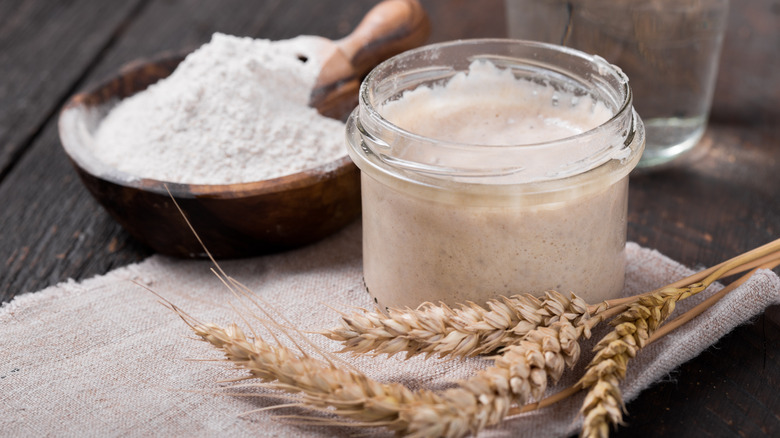 Sourdough starter in a glass jar with wheat