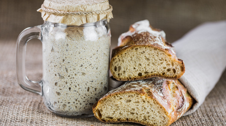 Baked sourdough bread next to starter