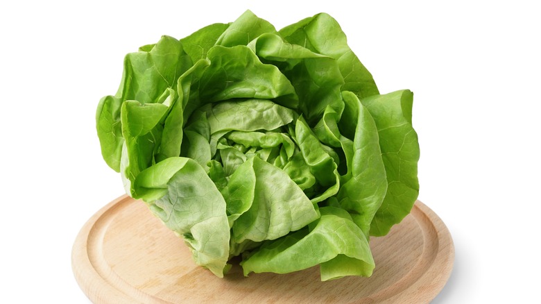 boston lettuce on wood plate