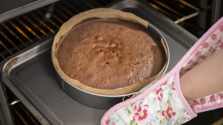 chocolate cake being put into oven