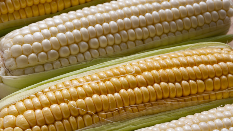 white and yellow corn