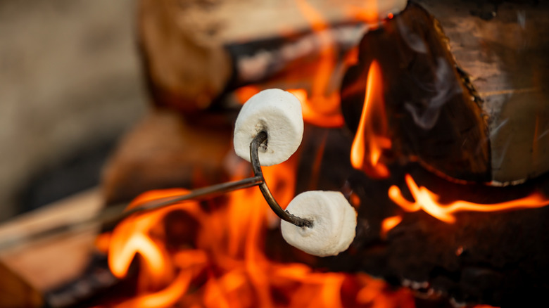 Roasting marshmallows