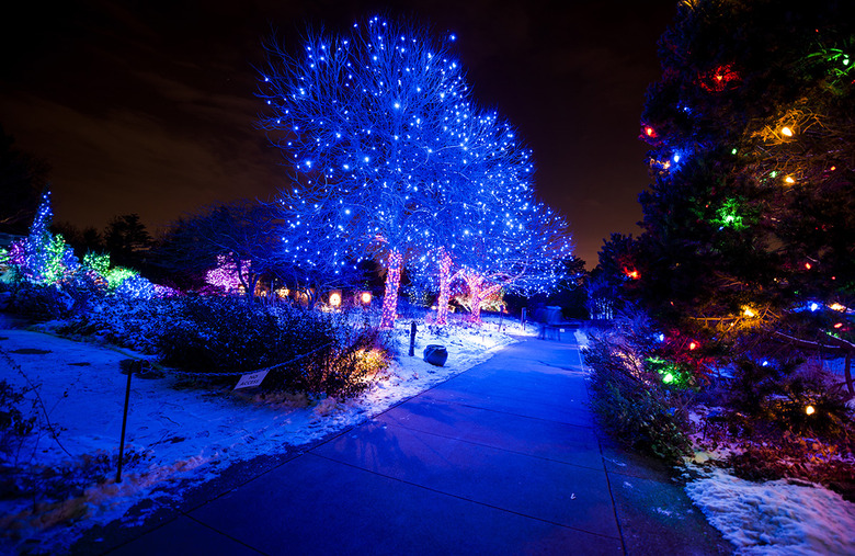 The Most Amazing Christmas Light Displays In America