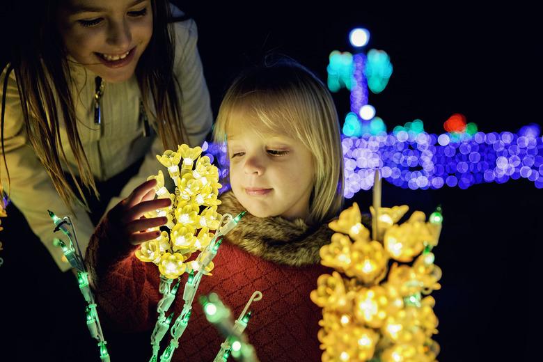 Oglebay Festival of Lights (Wheeling, West Virginia)