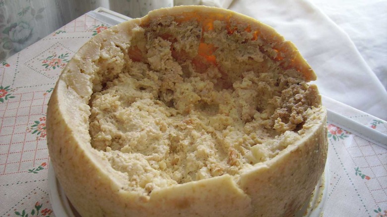 Casu Marzu cheese