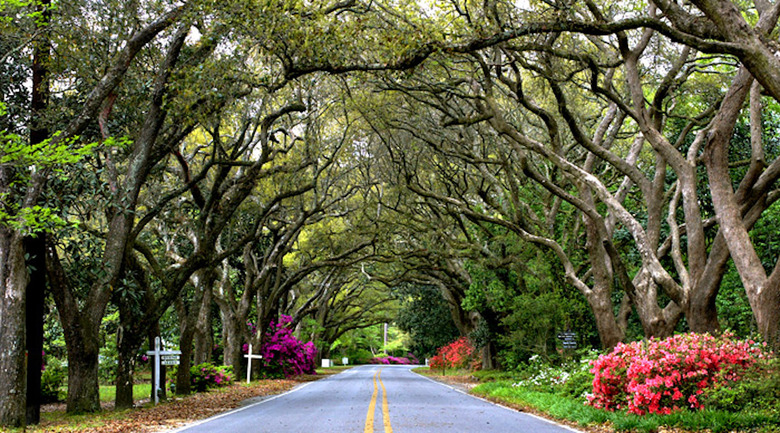 Alabama: Magnolia Springs