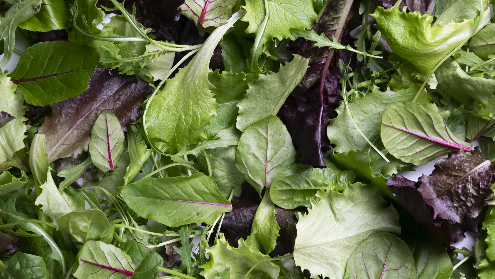 Roll Up Your Salad Greens to Keep Them Dry and Crisp