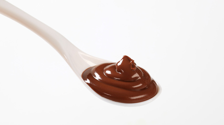 spoonful of chocolate pudding