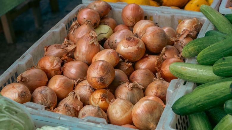 Yellow onions in plastic bin