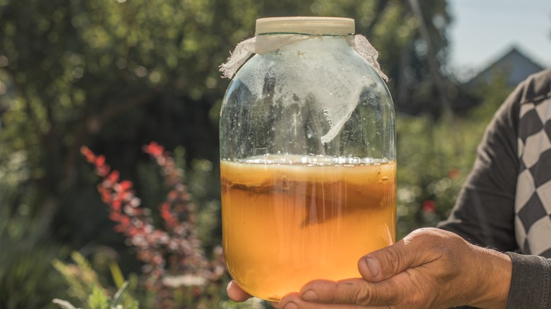 person holding jar of kombucha