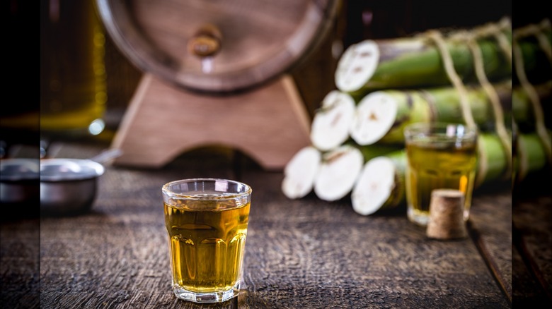 cachaca shot by sugarcane 