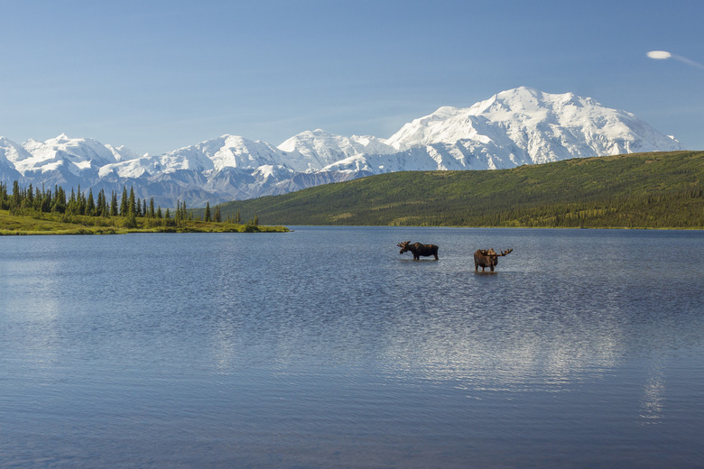 Alaska: Denali National Park and Preserve