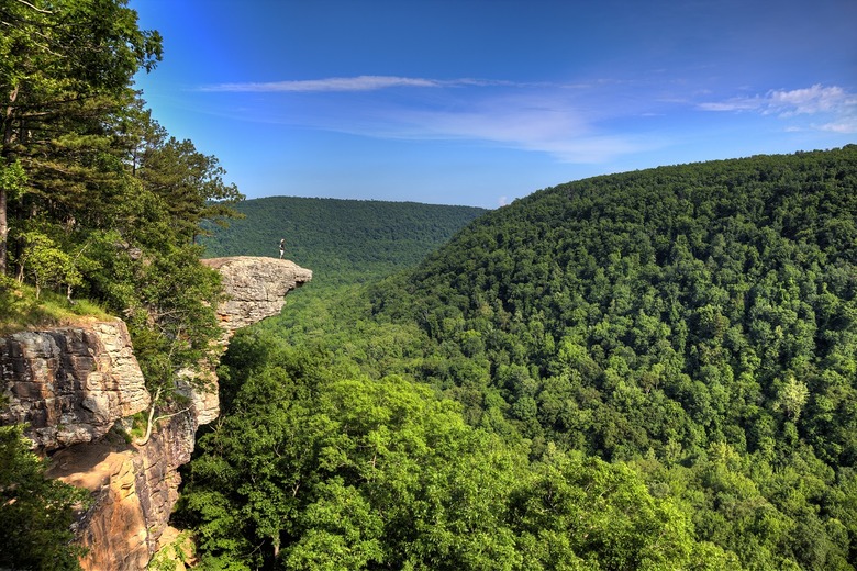 Arkansas: Hawksbill Crag/Whitaker Point Trail