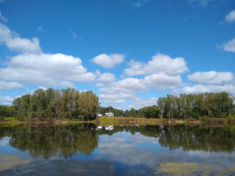 Indiana: Kesling Wetland and Farmstead