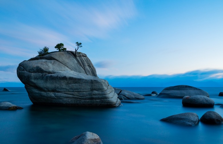 Nevada: Bonsai Rock