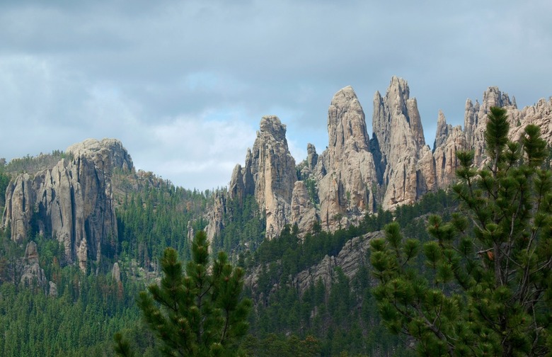 South Dakota: Black Hills