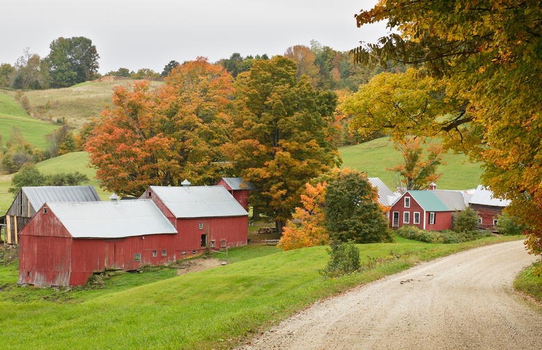 Vermont: Jenne Farm