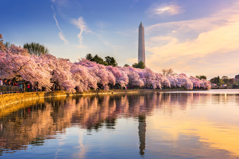 Washington, DC: Tidal Basin