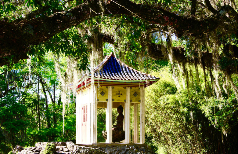 Louisiana: Avery Island