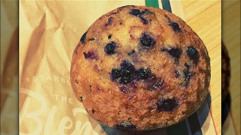 Starbucks Blueberry Muffin