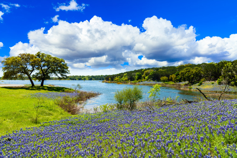 Texas: Hill Country