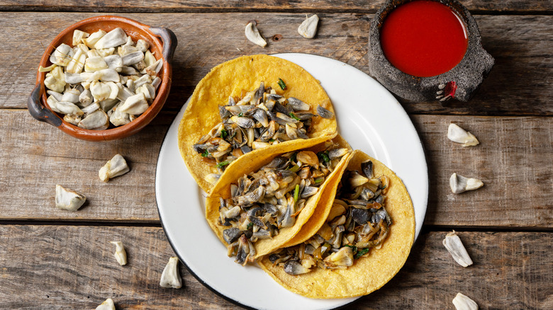 Huitlacoche tacos on plate