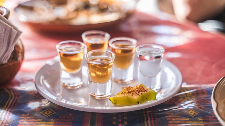 shots of mezcal on white plate