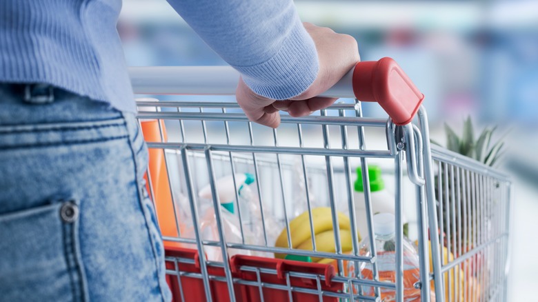 person pushing grocery cart