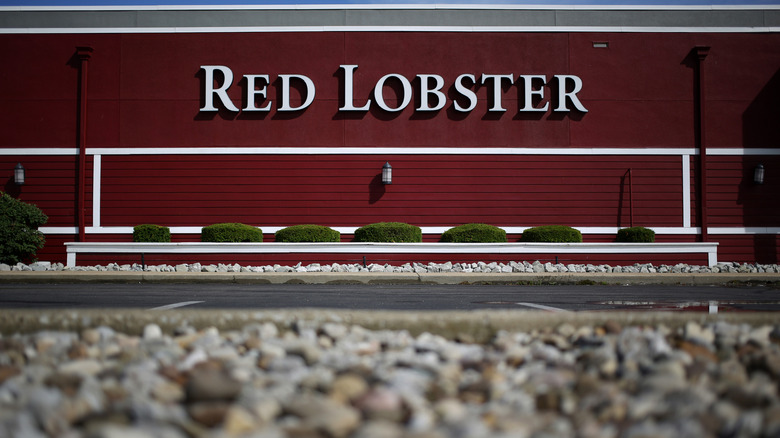 Red Lobster