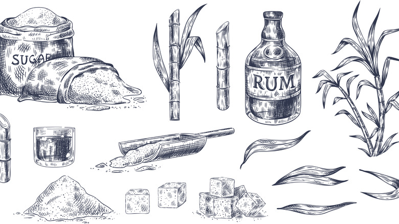 illustrations of rum production components