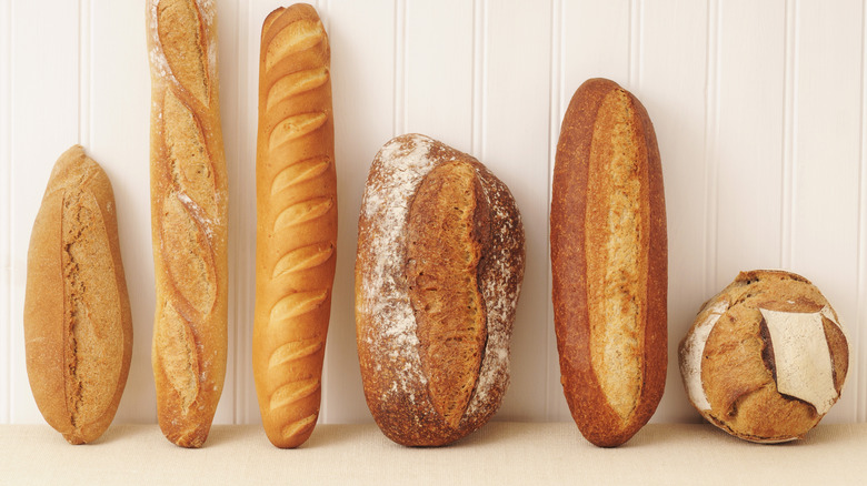 Six loaves of bread lined up white wall