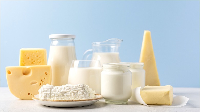 Dairy products 