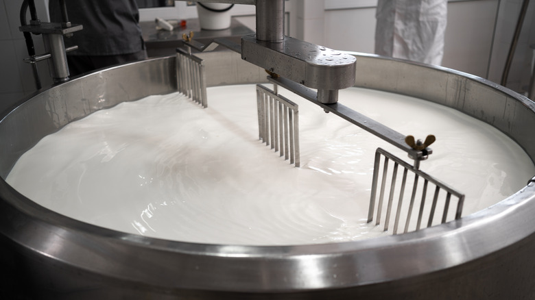 Pasteurization drum 