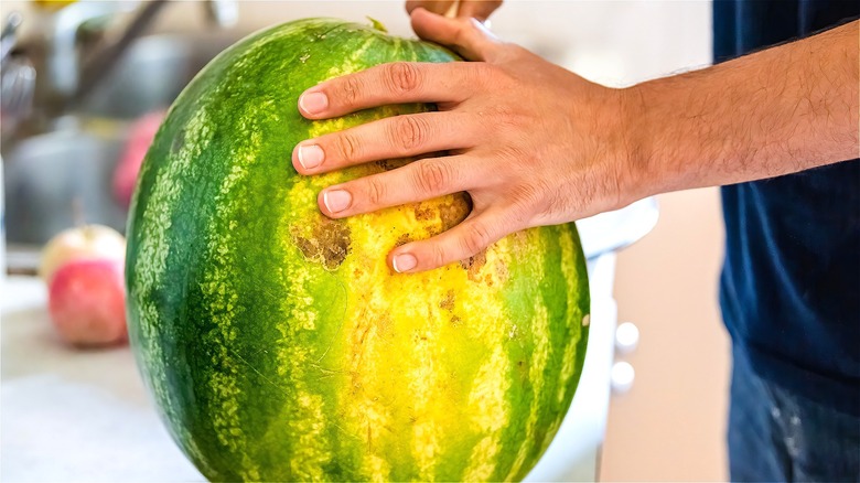 watermelon with big yellow spot 