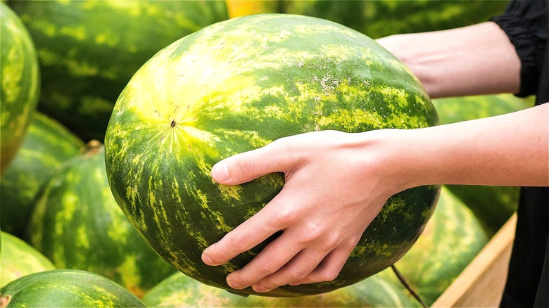 Hands holding large watermelon 