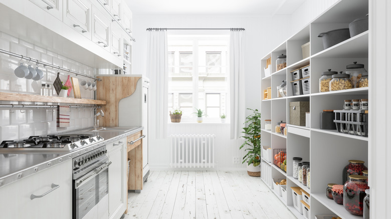 clean and organized kitchen and pantry shelves