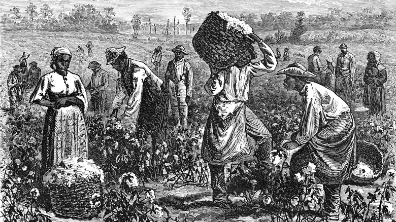 Enslaved people in a field