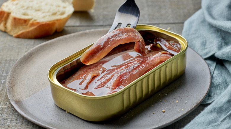 anchovies in tin 