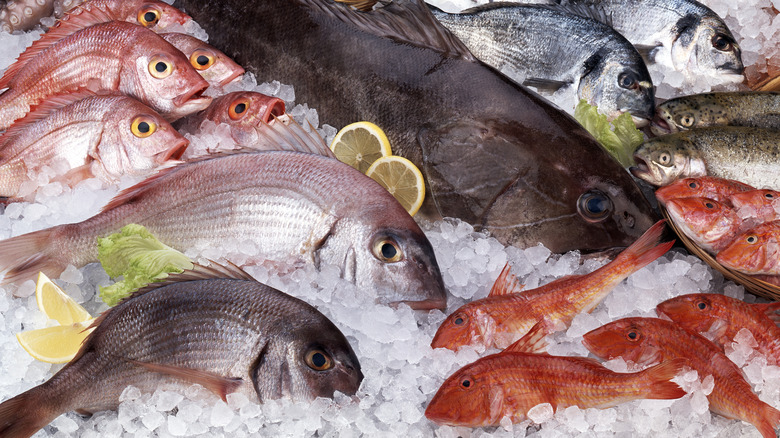 An assortment of fish on display at a fish market