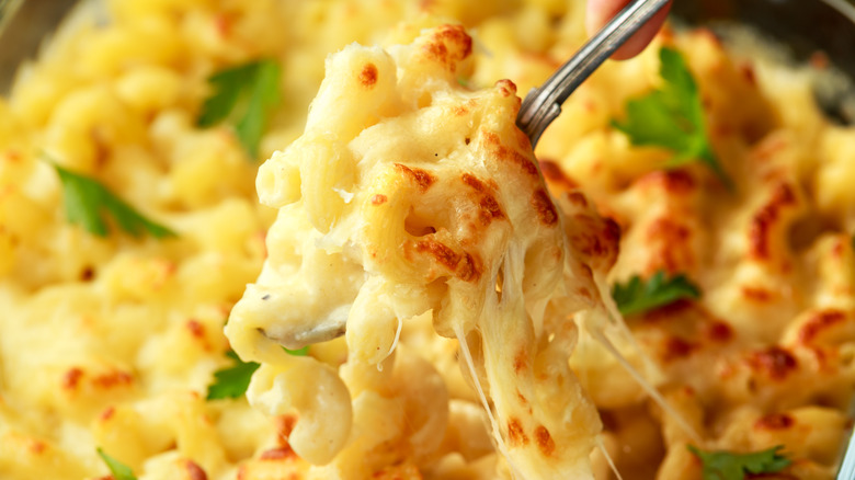 Macaroni and cheese