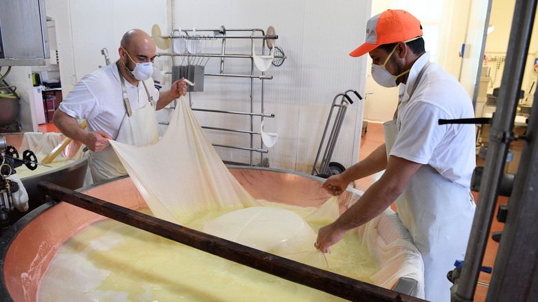 Cheesemakers making Parmigiano Reggiano