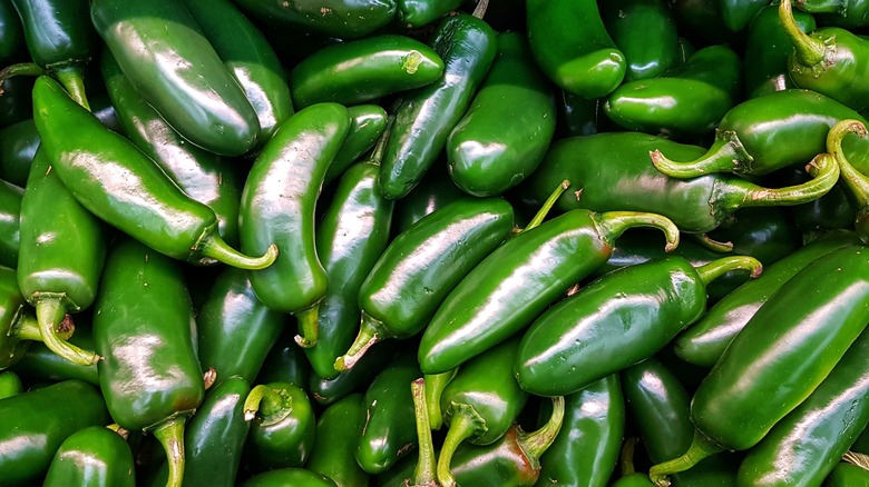 Pile of fresh jalapeños