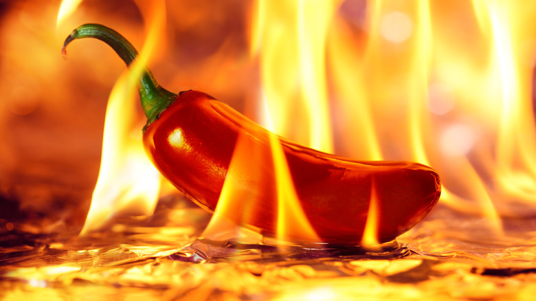 Red pepper on fire