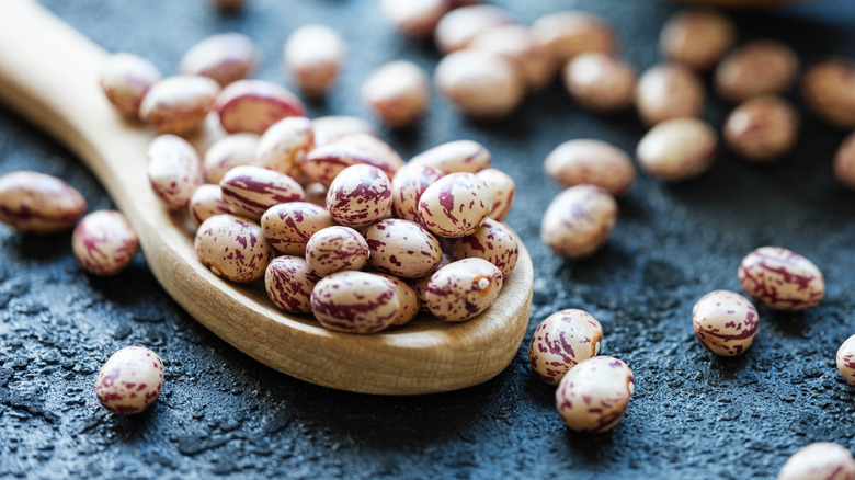 Dry pinto beans on a spoon